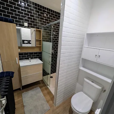 Townhouse In Center * פואטייה